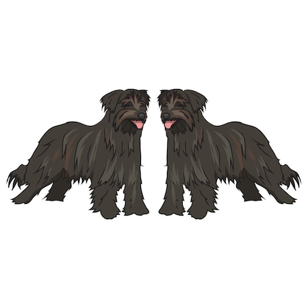 Signmission Pyrenean Shepherd Dog Decal, Dog Lover Decor Vinyl Sticker D-24-Pyrenean Shepherd